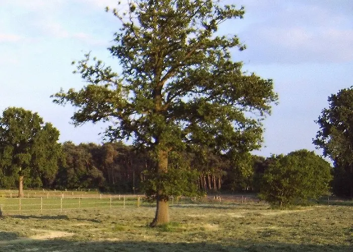 Ferme Knaapen Bed and Breakfast Neeritter