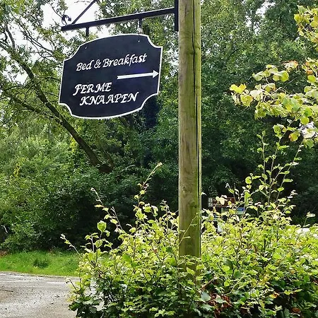 Bed & Breakfast Ferme Knaapen Neeritter