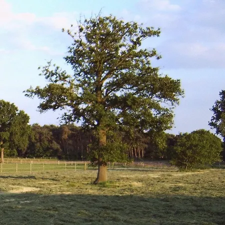 Ferme Knaapen Bed & Breakfast Neeritter